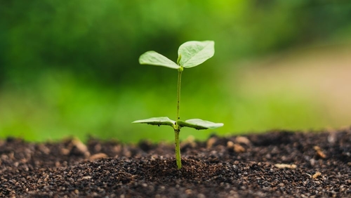 Berita perusahaan terbaru tentang Australia Peringatkan: Label 'Kompos' yang Menyesatkan Menyebabkan Kontaminasi Plastik Besar-besaran