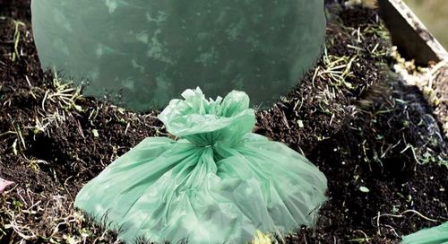 Berita perusahaan terbaru tentang Apakah Kantong Plastik yang Dapat Dikompos Bisa Terdegradasi?